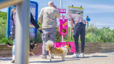 ’Smeerpaal’ moet zonaanbidders op strand Callantsoog voor huidkanker behoeden